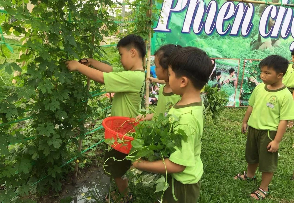 Cẩn thận cắt từng quả khổ qua (mướp đắng)